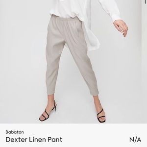 Aritzia dexter linen pant